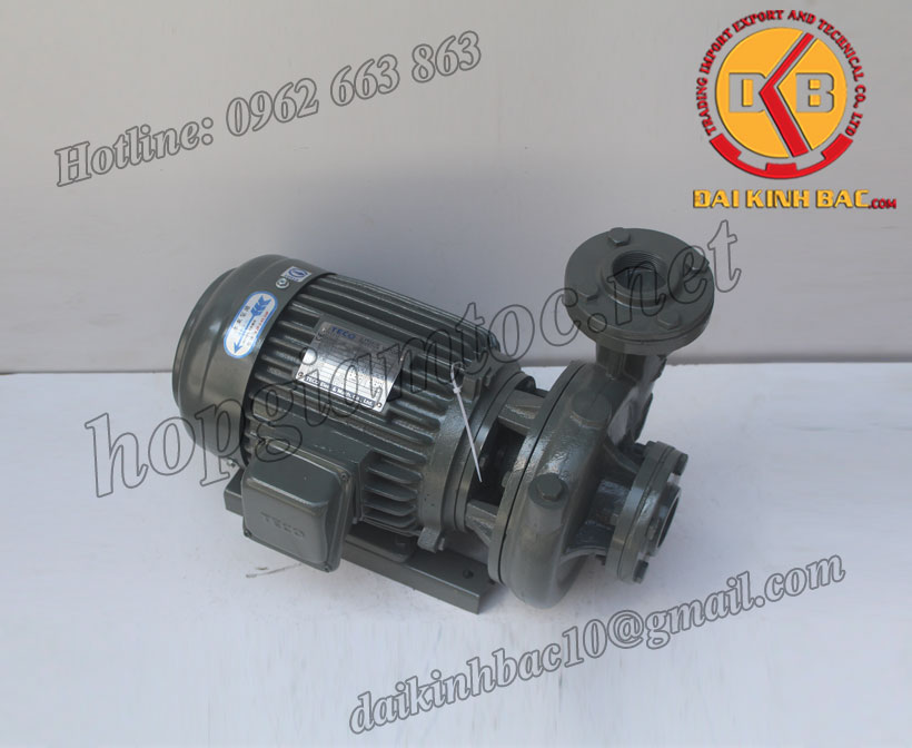 Bơm nước Teco G-31-50-2P-1HP-0.75KW