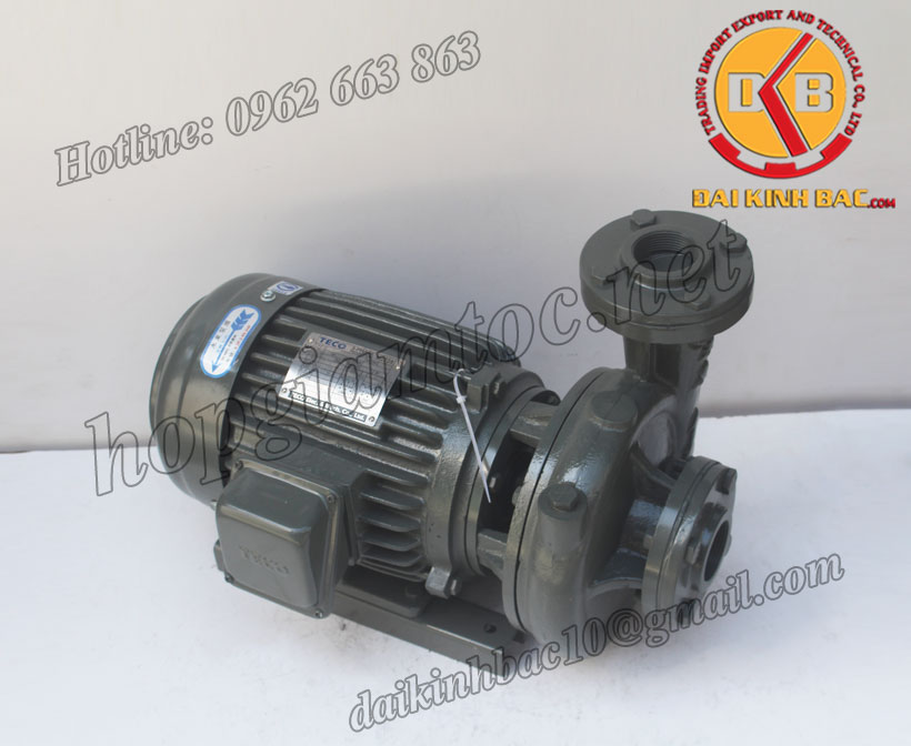 Bơm nước Teco G-33-65-2P-3HP-2.2KW
