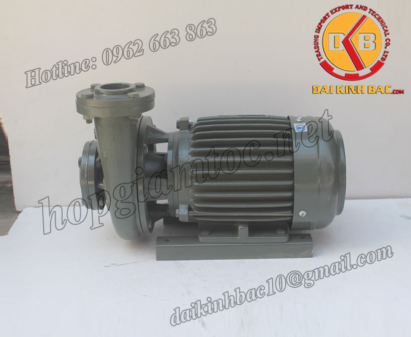Bơm nước Teco G-340-200-4P-40HP-30KW