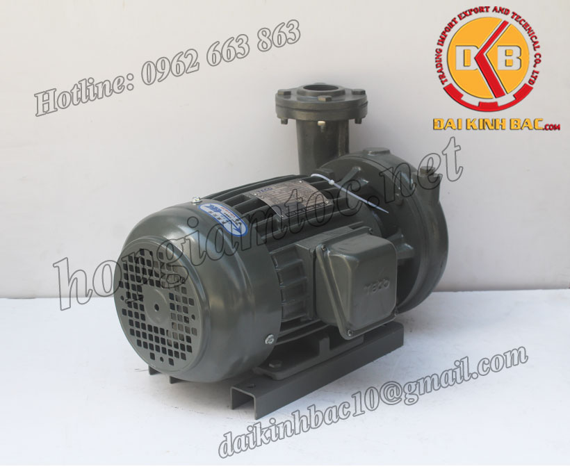 Bơm nước Teco G-35-65-2P-5HP-3.7KW