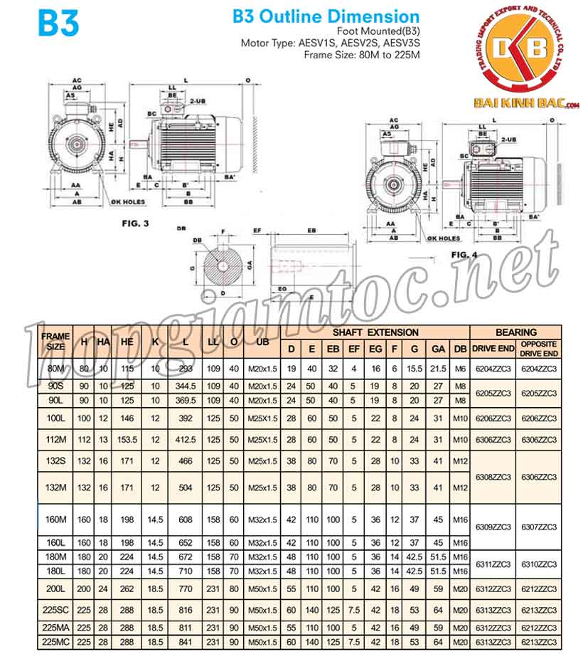 Catalog motor điện Teco chân đế 5.5kw