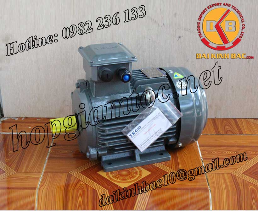 Motor điện Teco chân đế 1.1kw