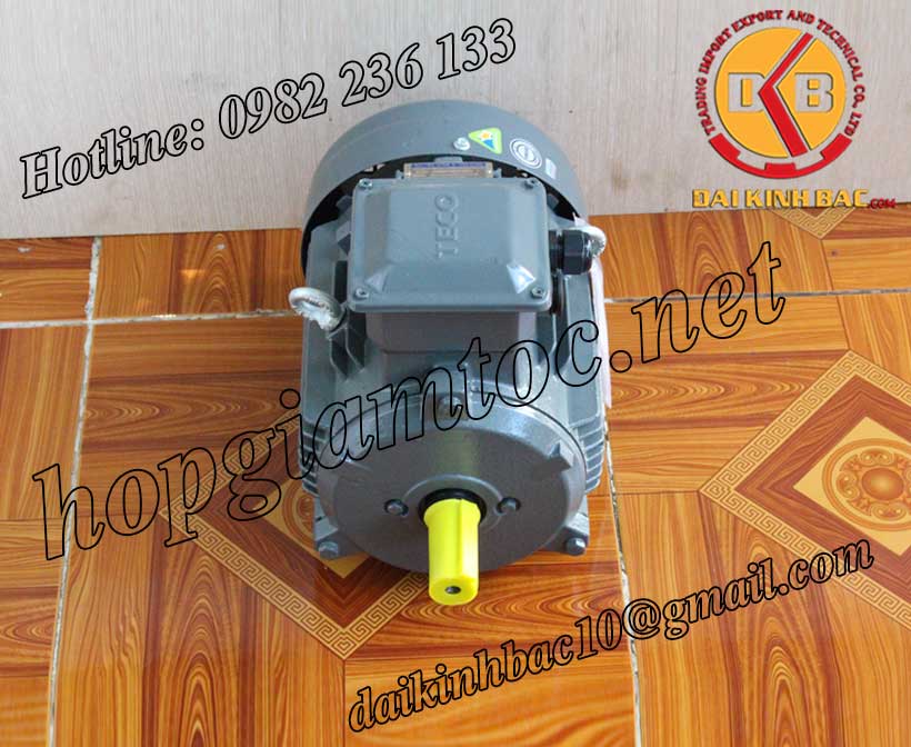 Motor điện Teco chân đế 1.5kw