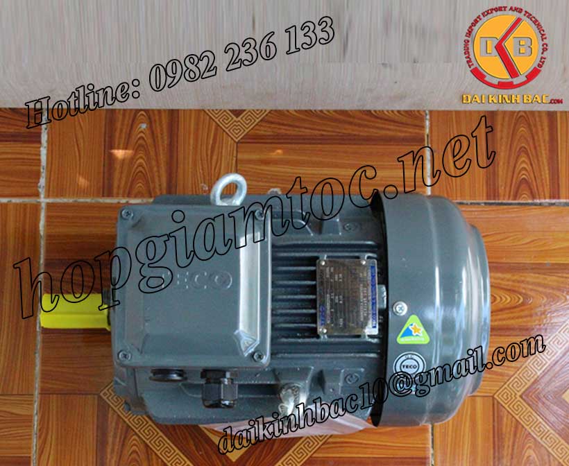 Motor điện Teco chân đế 30kw