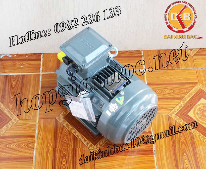 Motor điện Teco Chân đế 5 5kw