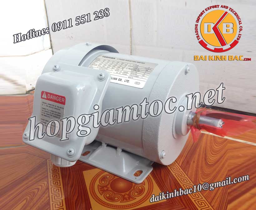 Motor điện toshiba chân đế 0.55kw