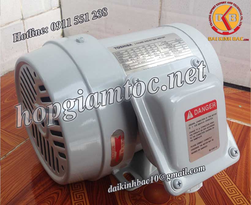 Motor điện Toshiba chân đế 0.75kw