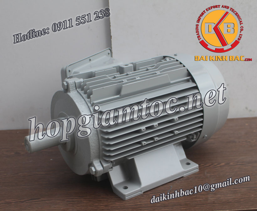 Motor điện Toshiba chân đế 3kw