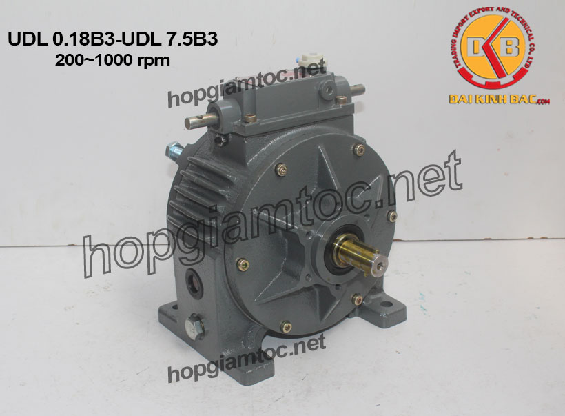 Variator speed 200-1000rpm kiểu chân đế