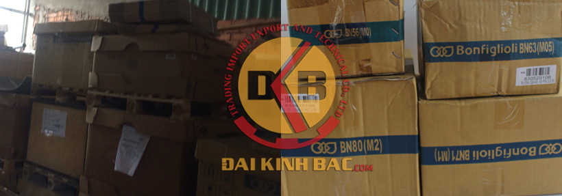 Motor điện Bonfiglioli được chụp tại kho công ty