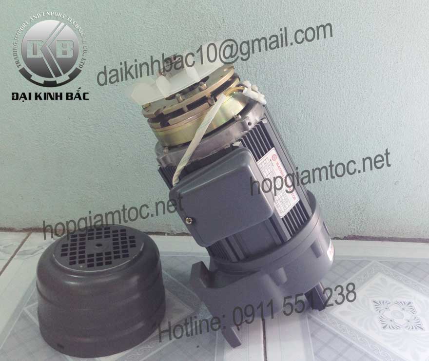 Motor giảm tốc Wansin chân đế 0.1kw
