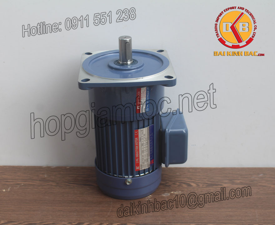 Motor giảm tốc 0.4kw 0.5hp 1/60