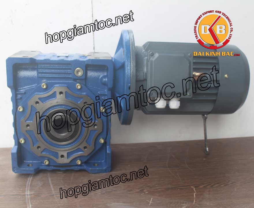 Motor giảm tốc cốt âm 3.7kw 1/50