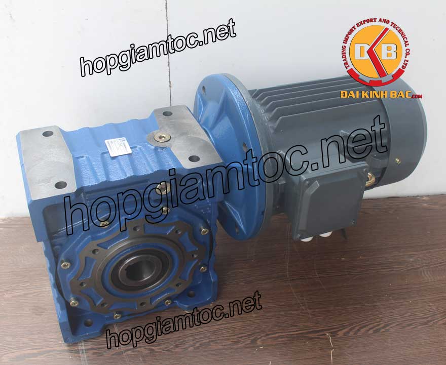 Motor giảm tốc cốt âm 3.7kw 1/60