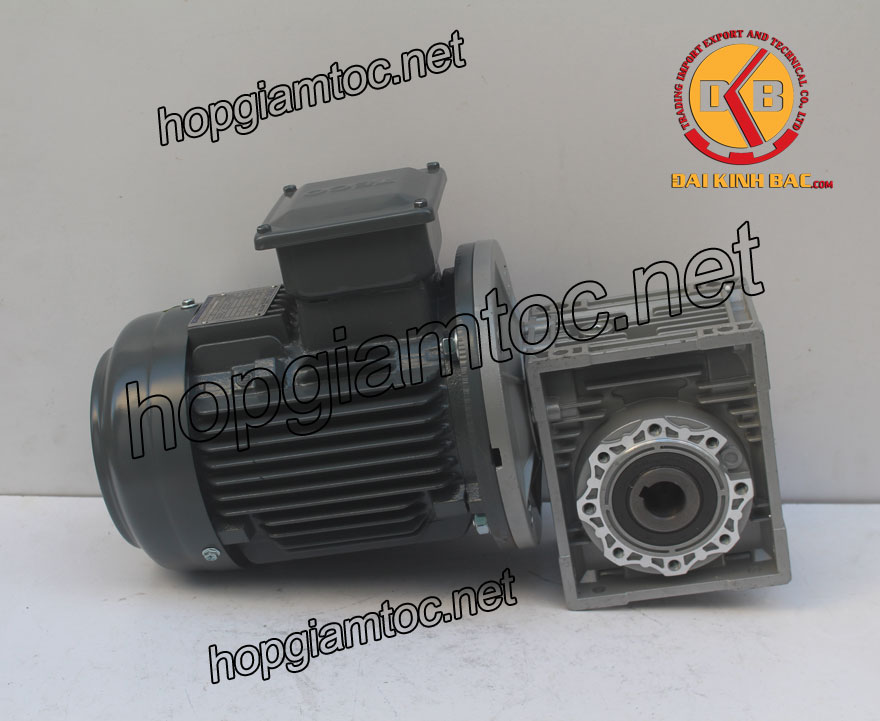 Motor giảm tốc cốt âm 3kw 1/20