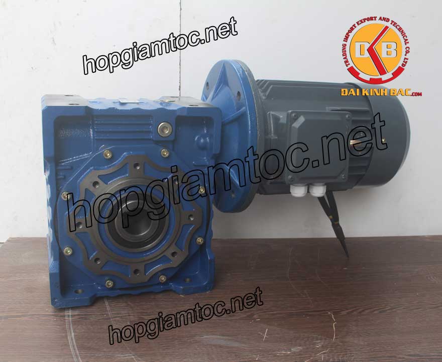 Motor giảm tốc cốt âm 5.5kw 1/15