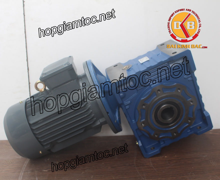 Motor giảm tốc cốt âm 5.5kw 1/25