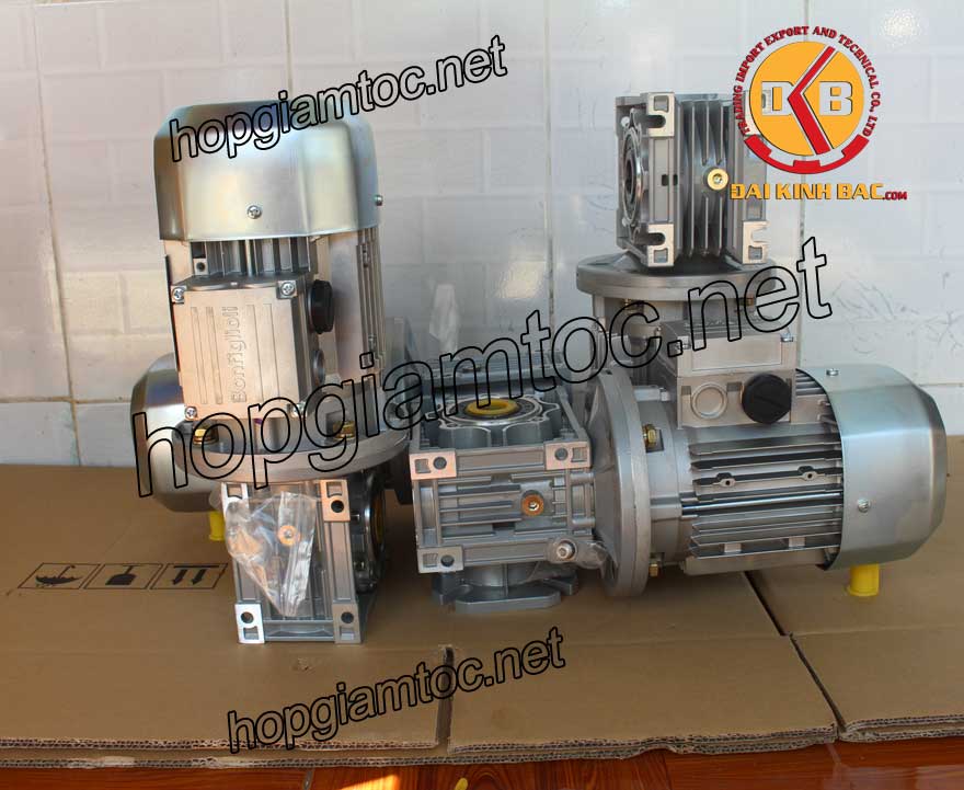 Motor giảm tốc cốt âm 1.1kw 1/100