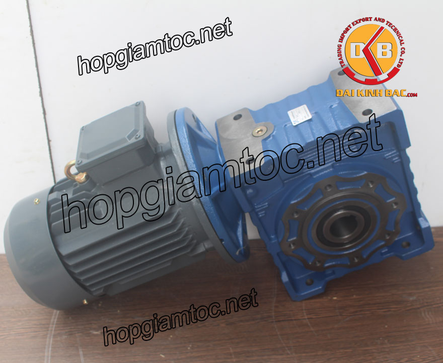 Motor giảm tốc cốt âm 3.7kw 1/40