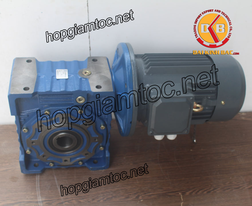 Motor giảm tốc cốt âm 3.7kw 1/50