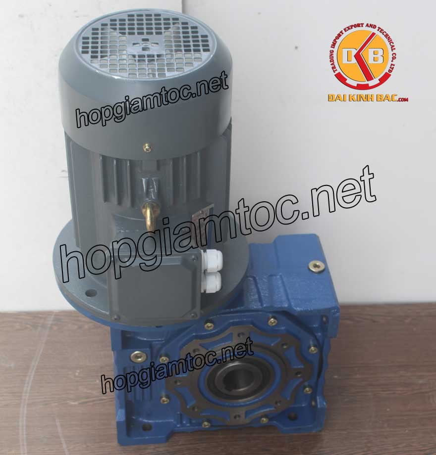 Motor giảm tốc cốt âm 3.7kw 1/60