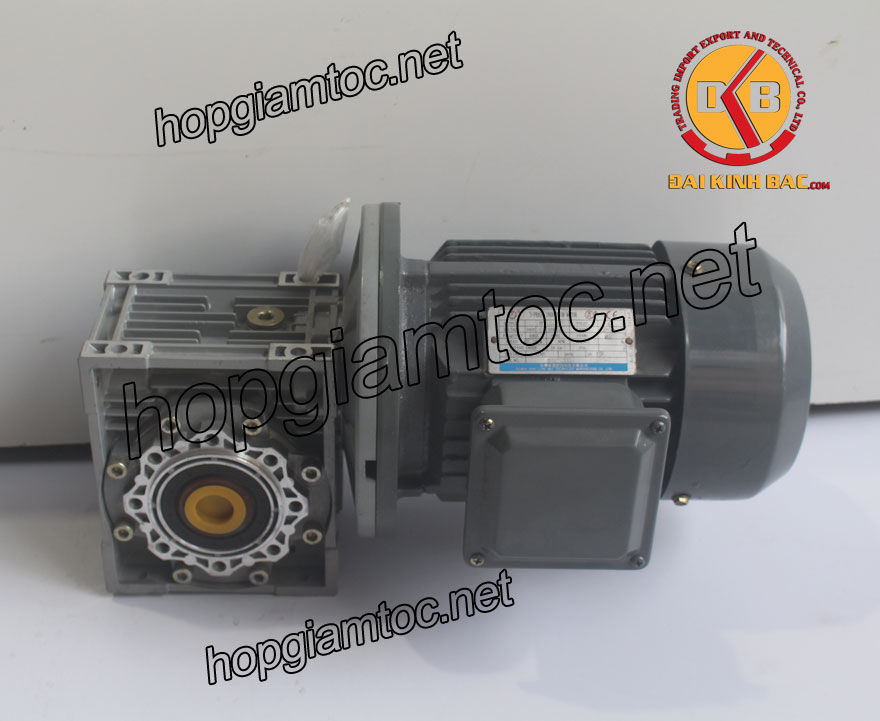 Motor giảm tốc cốt âm 3kw 1/50