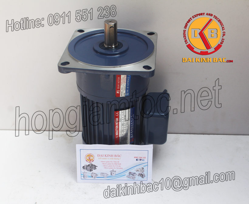 Cấu tạo Motor giảm tốc tunglee 0.1kw