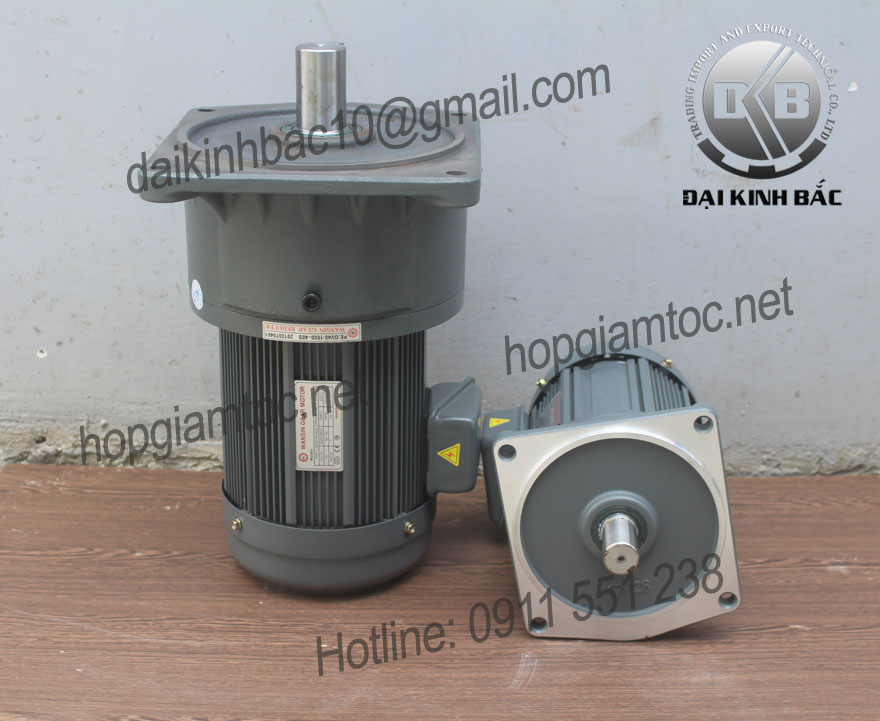 Motor giảm tốc Wansin mặt bích 0.1kw