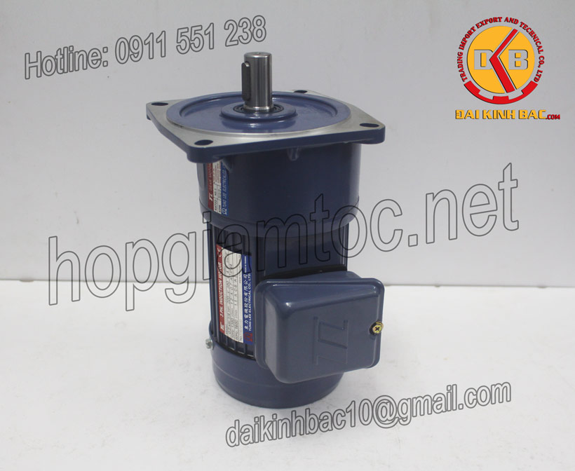 HÌNH ẢNH MOTOR TUNGLEE MẶT BÍCH 0.2KW