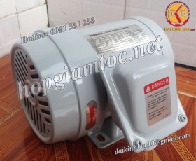 Motor điện Toshiba chân đế 0.75kw