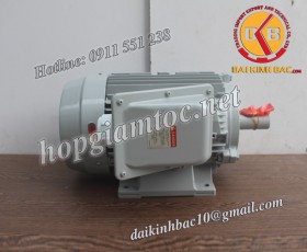 Motor điện Toshiba chân đế 1.5kw