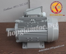 Motor điện Toshiba chân đế 2.2kw