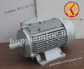 Motor điện Toshiba chân đế 3kw