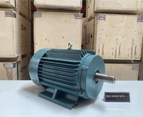 Motor điện YE2-160M-4 11Kw 4P